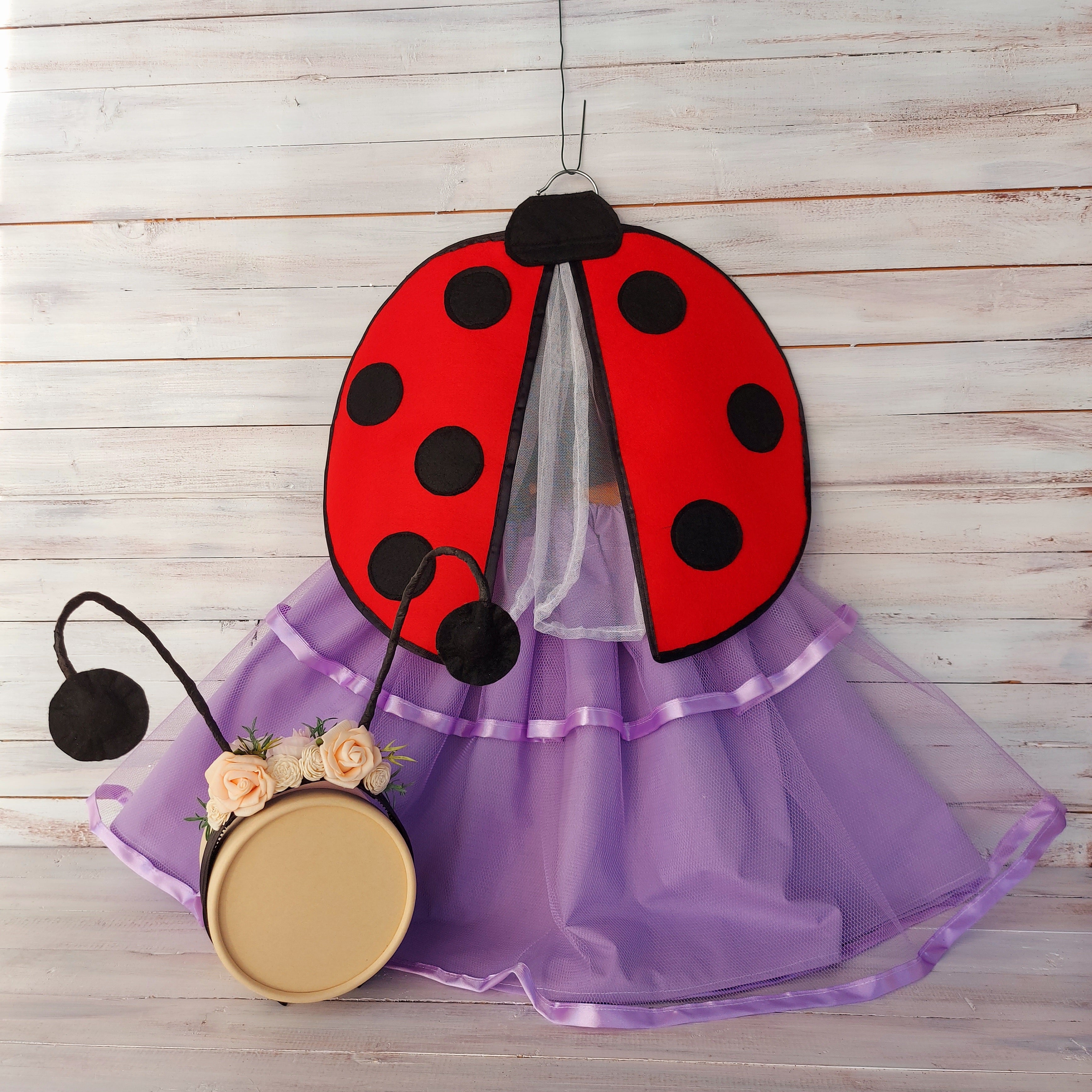 🐞 Katica jelmez szett