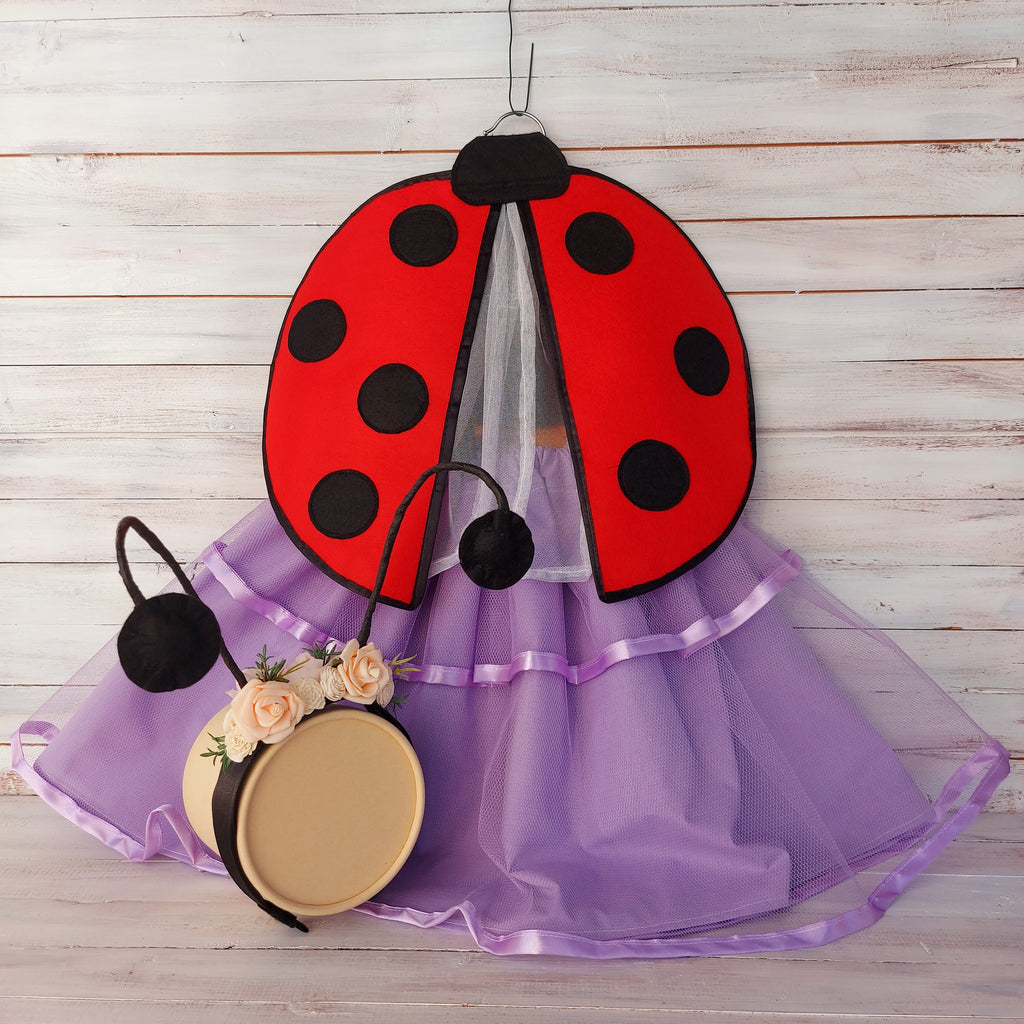 🐞 Katica jelmez szett