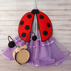 🐞 Katica jelmez szett