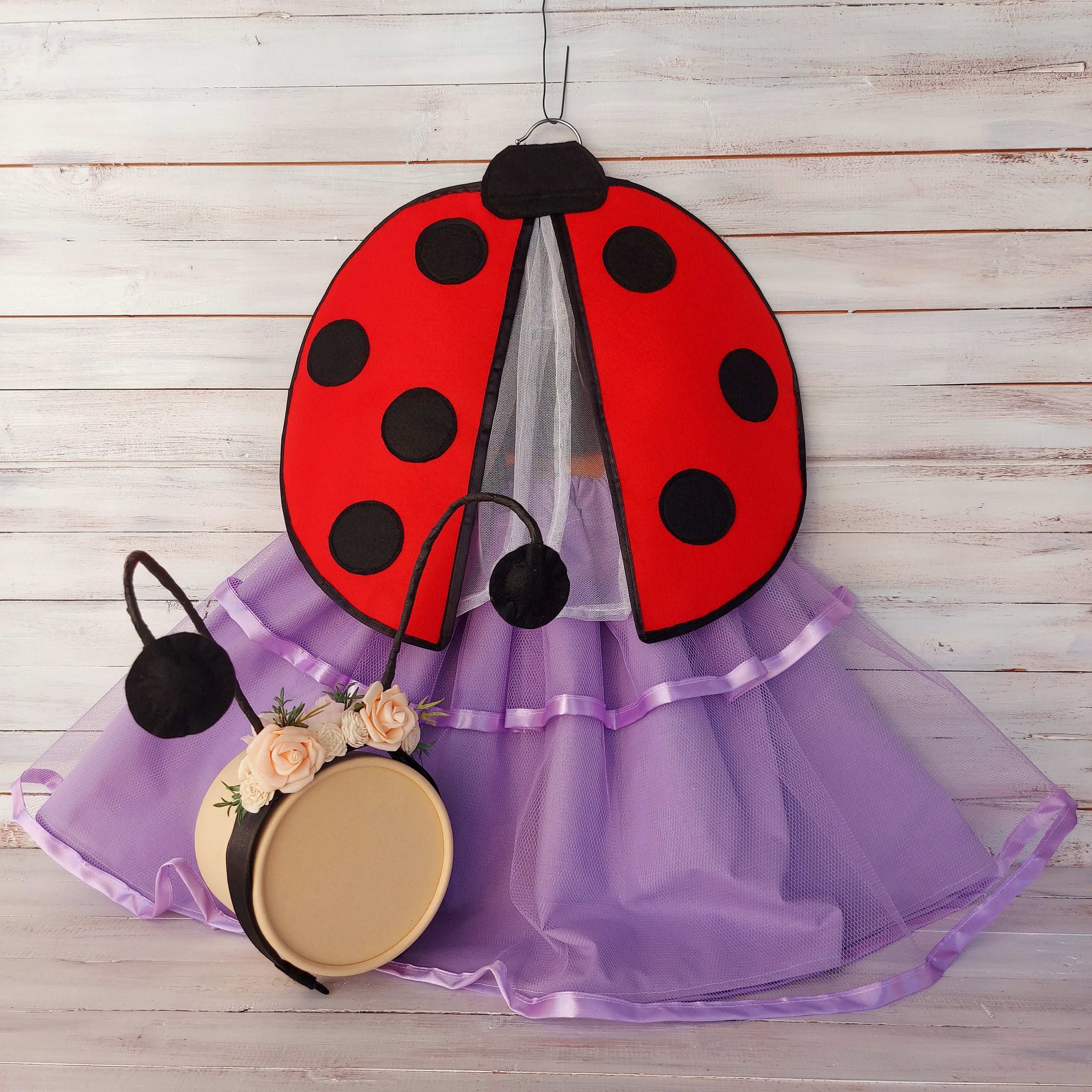 🐞 Katica jelmez szett