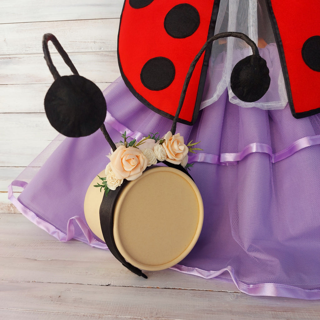 🐞 Katica jelmez szett