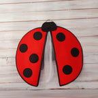 🐞 Katica jelmez szett