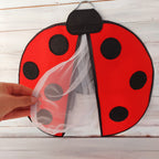 🐞 Katica jelmez szett