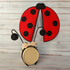 🐞 Katica jelmez szett