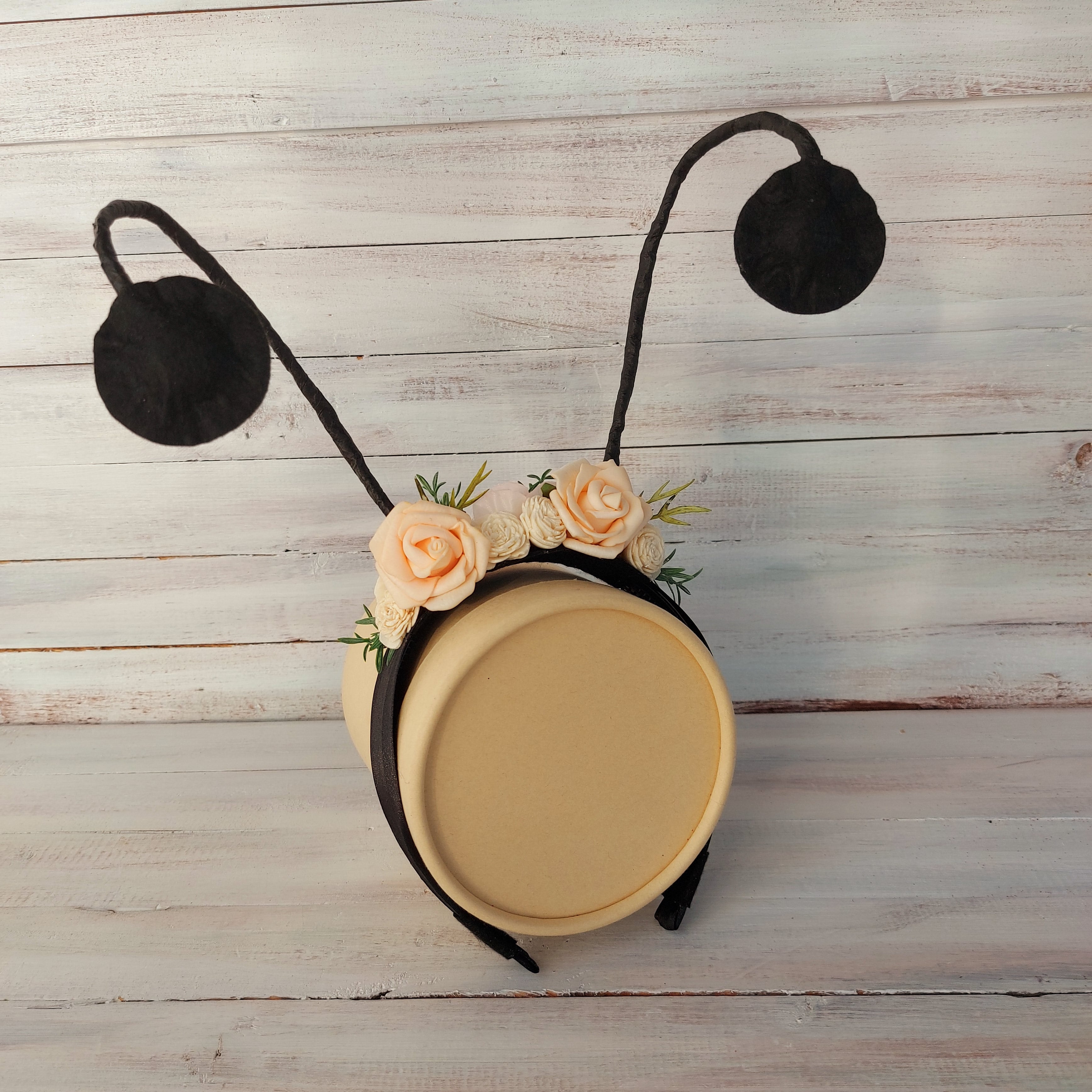 🐞 Katica jelmez szett